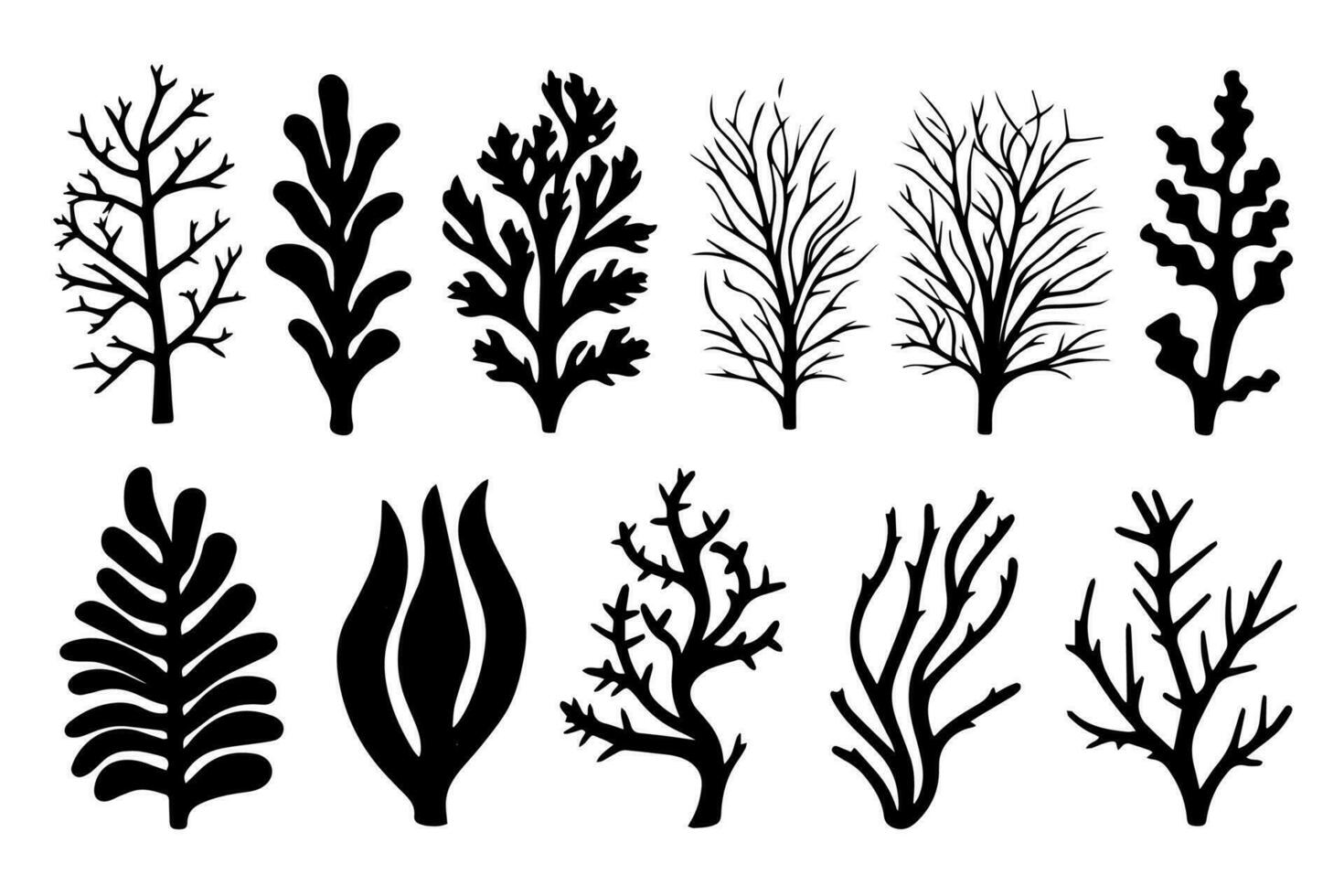 Hand drawn set of corals and seaweed silhouette isolated on white background. Vector icons and stamp illustration.