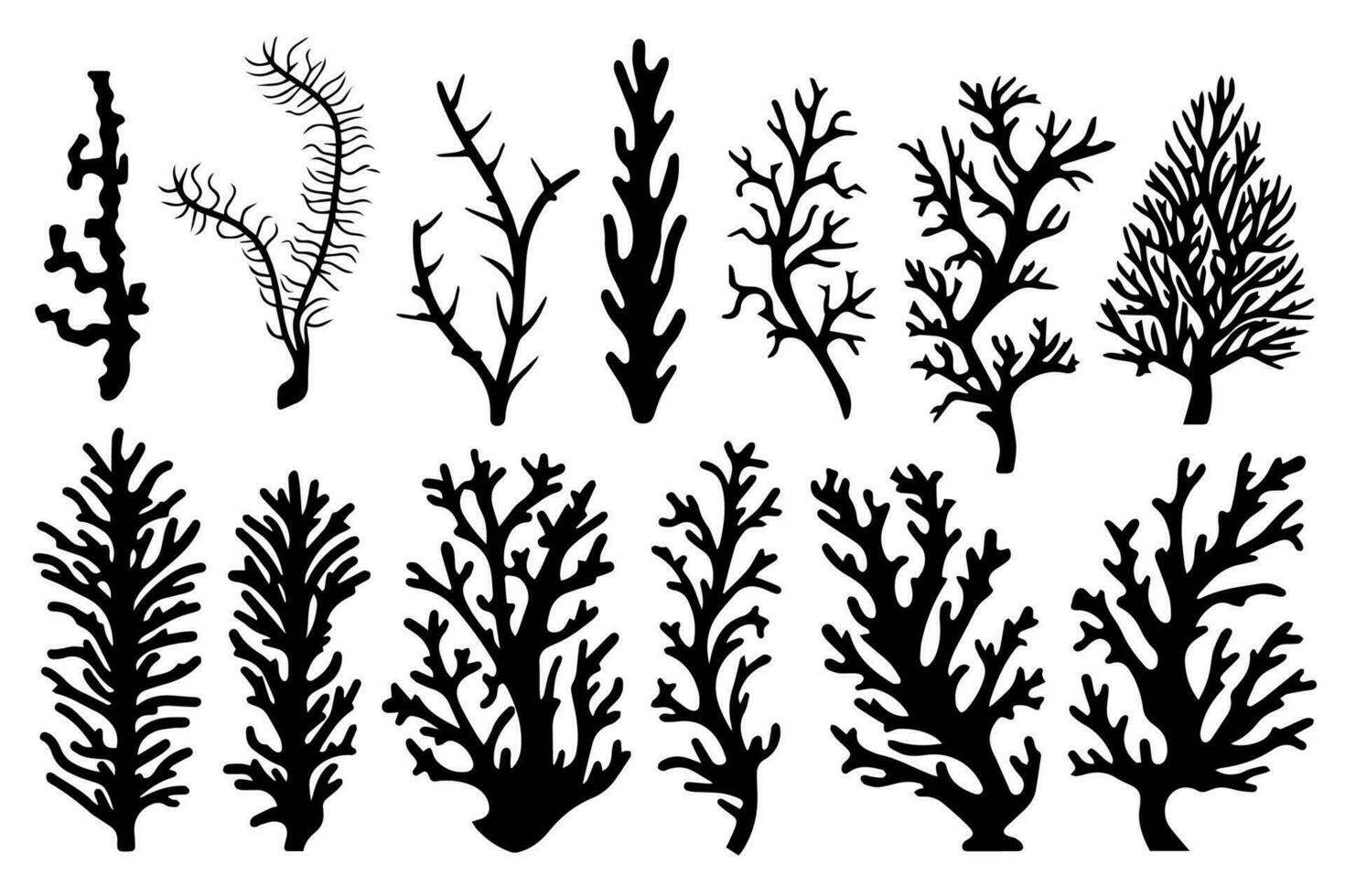 Hand drawn set of corals and seaweed silhouette isolated on white background. Vector icons and stamp illustration.