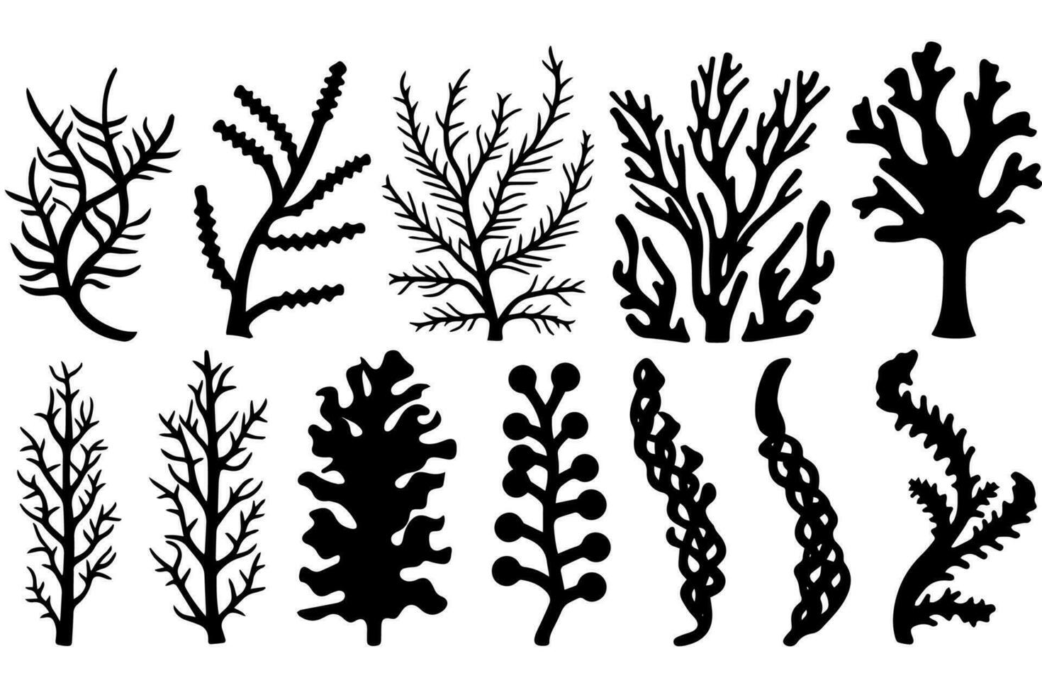 Hand drawn set of corals and seaweed silhouette isolated on white background. Vector icons and stamp illustration.