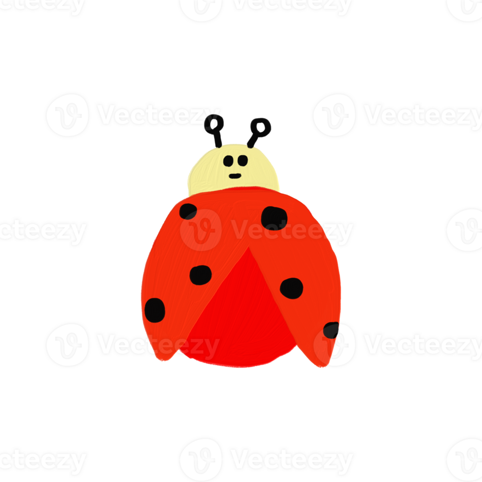 A Cute ladybug png