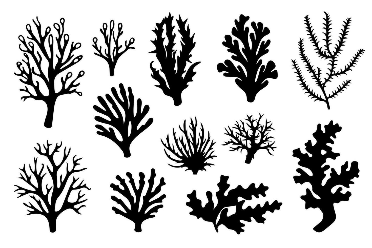 Hand drawn set of corals and seaweed silhouette isolated on white background. Vector icons and stamp illustration.