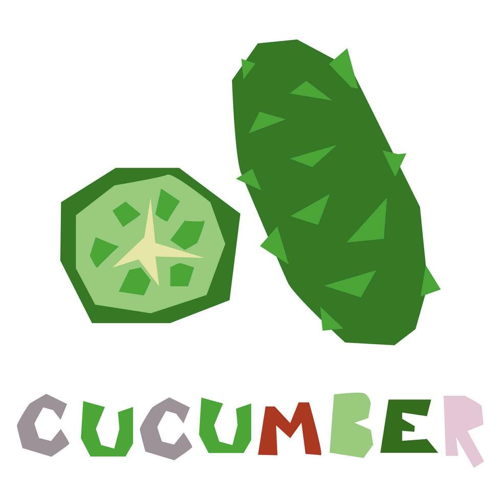 A green cucumber, whole and in section, is highlighted on a white background. The original signature is cucumber. Products from the farmer's market, organic food. Geometric stylized flat vector