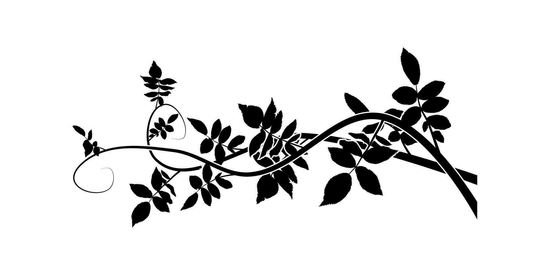 ornamental elemento espino Costura planta. vector