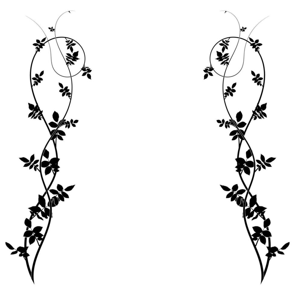 ornamental element hawthorn frame plant. vector