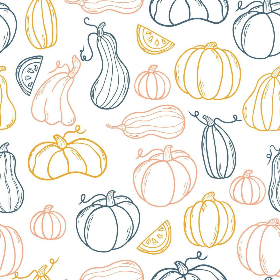 calabaza colocar. garabatear. mano dibujo. vector ilustración en moderno estilo. festivo calabaza. otoño vegetal.