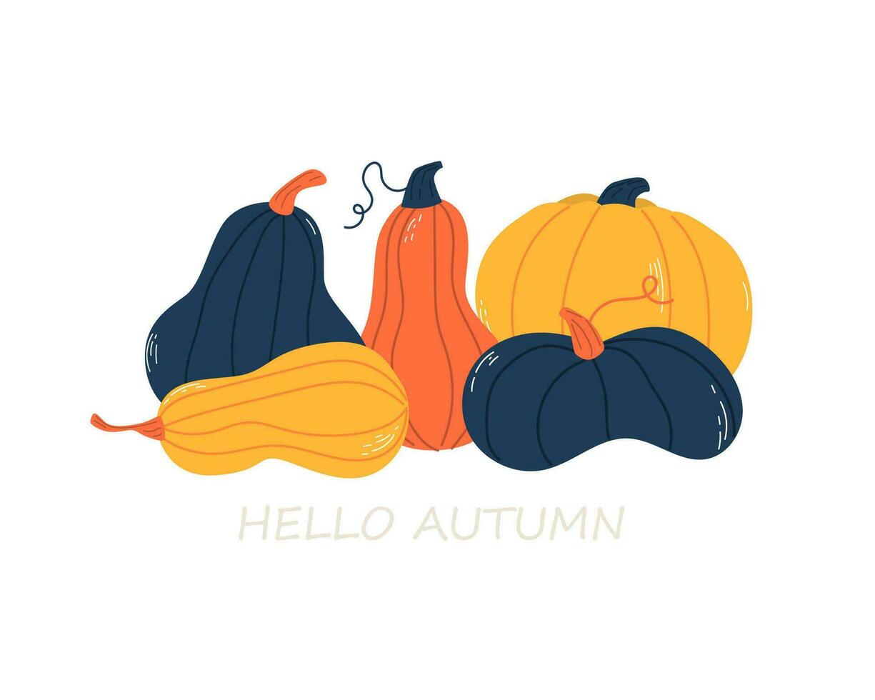 calabaza. garabatear. mano dibujo. vector ilustración en moderno estilo. festivo calabaza. otoño vegetal.