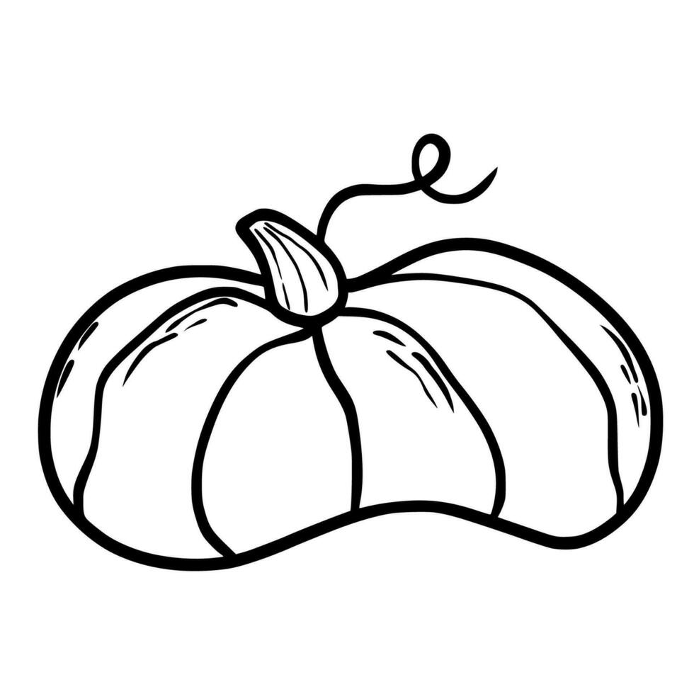 calabaza. garabatear. mano dibujo. vector ilustración en moderno estilo. festivo calabaza. otoño vegetal.