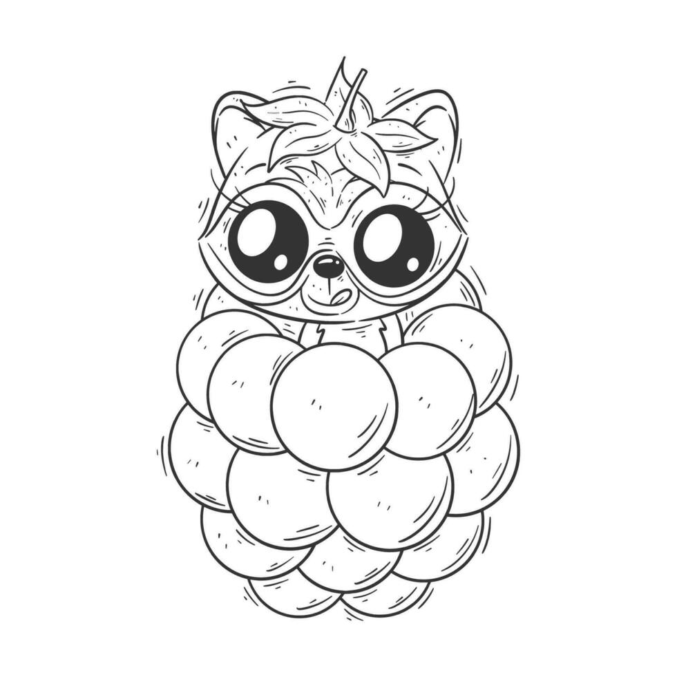 Cute raccoon is at the grapes for coloring vector