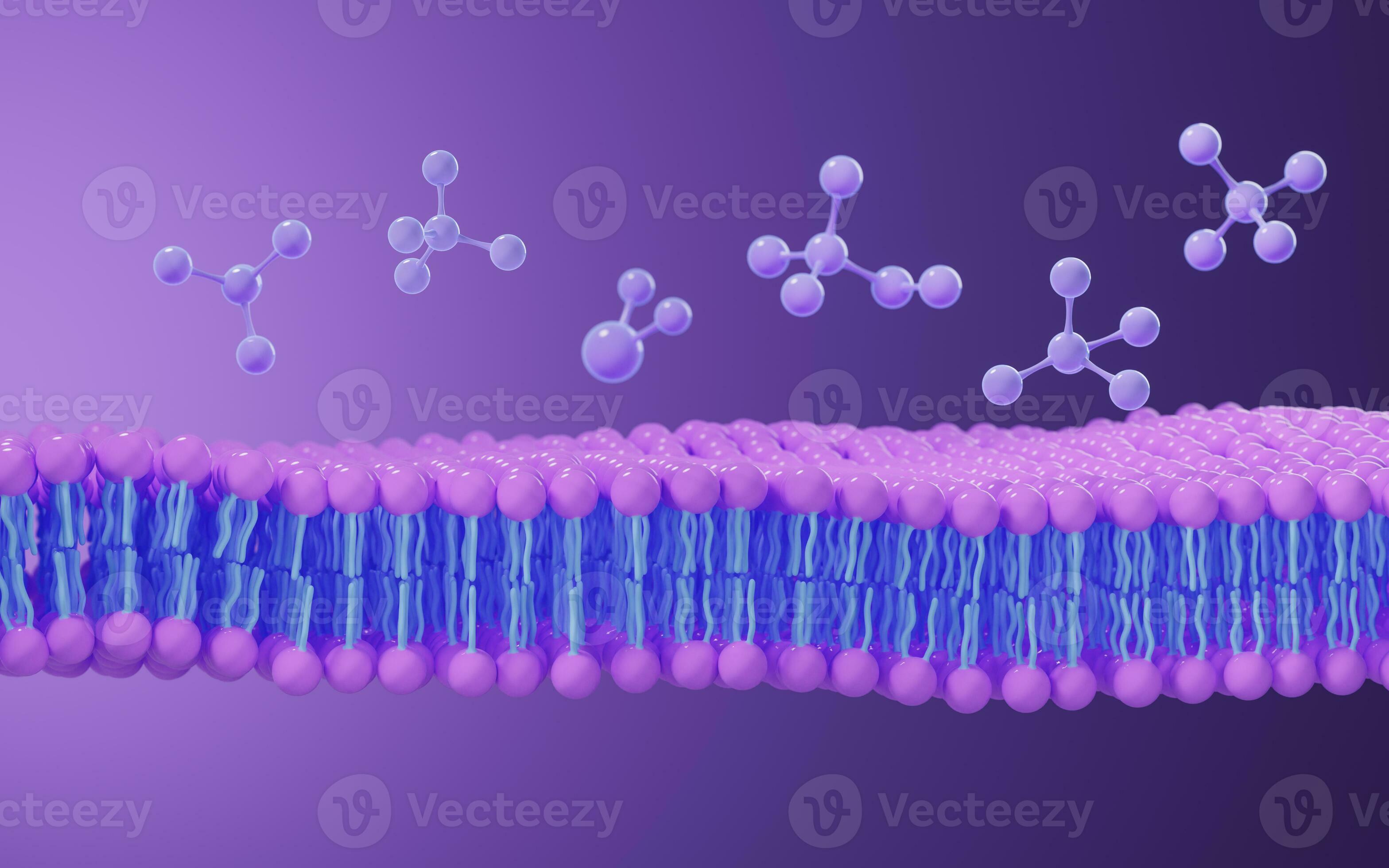 Cell membrane structure background, 3d rendering. 27713854 Stock Photo