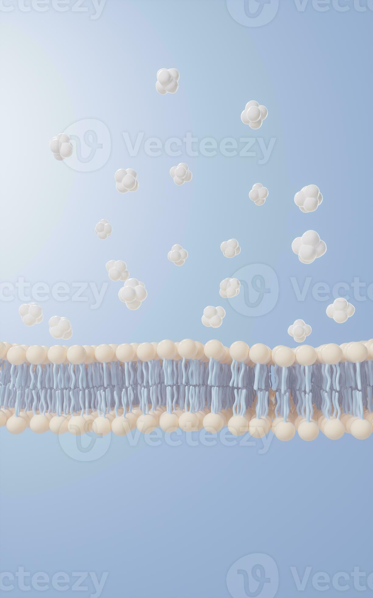 Cell membrane structure background, 3d rendering. 27713856 Stock Photo
