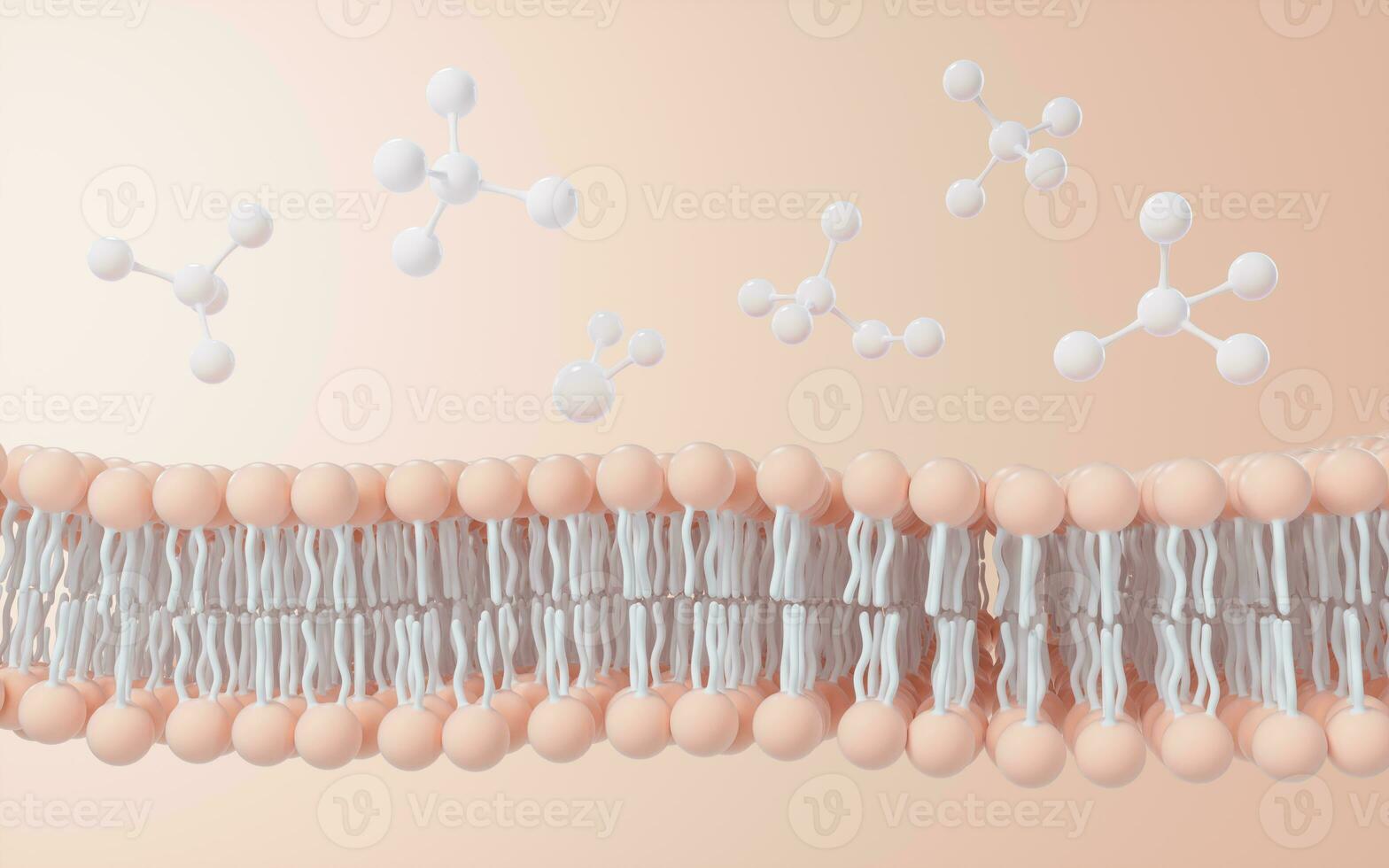 Cell membrane structure background, 3d rendering. photo