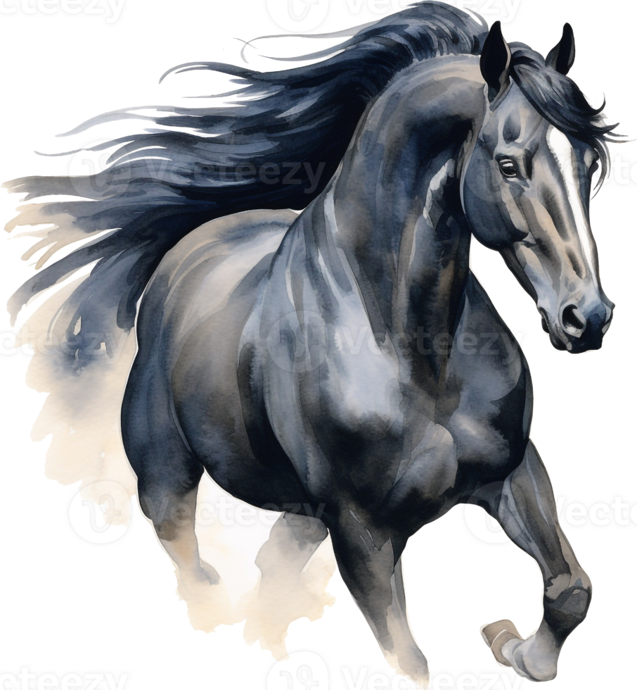 Original watercolor painting of a black running horse isolated on white background. png
