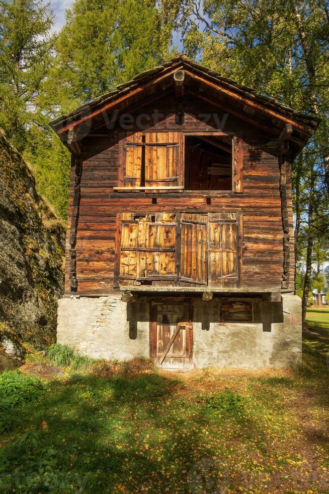 in the swiss alps photo