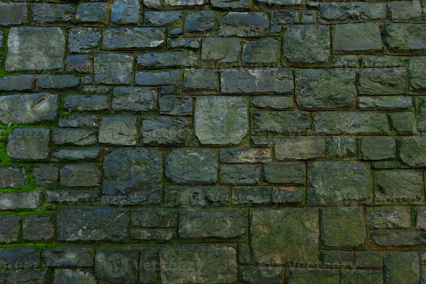 Big amount of green moss on a stone brick wall. Frontal shot of an old stone wall with green moss on it. photo