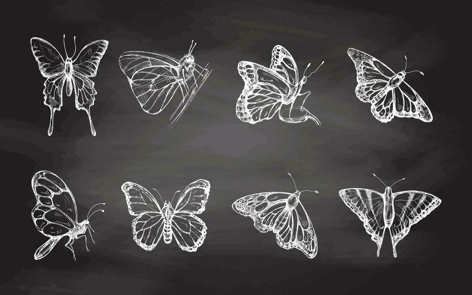 mano dibujado mariposa bosquejo conjunto en pizarra antecedentes. monocromo insectos garabatear. negro y blanco Clásico elementos. vector bosquejo. detallado retro estilo.