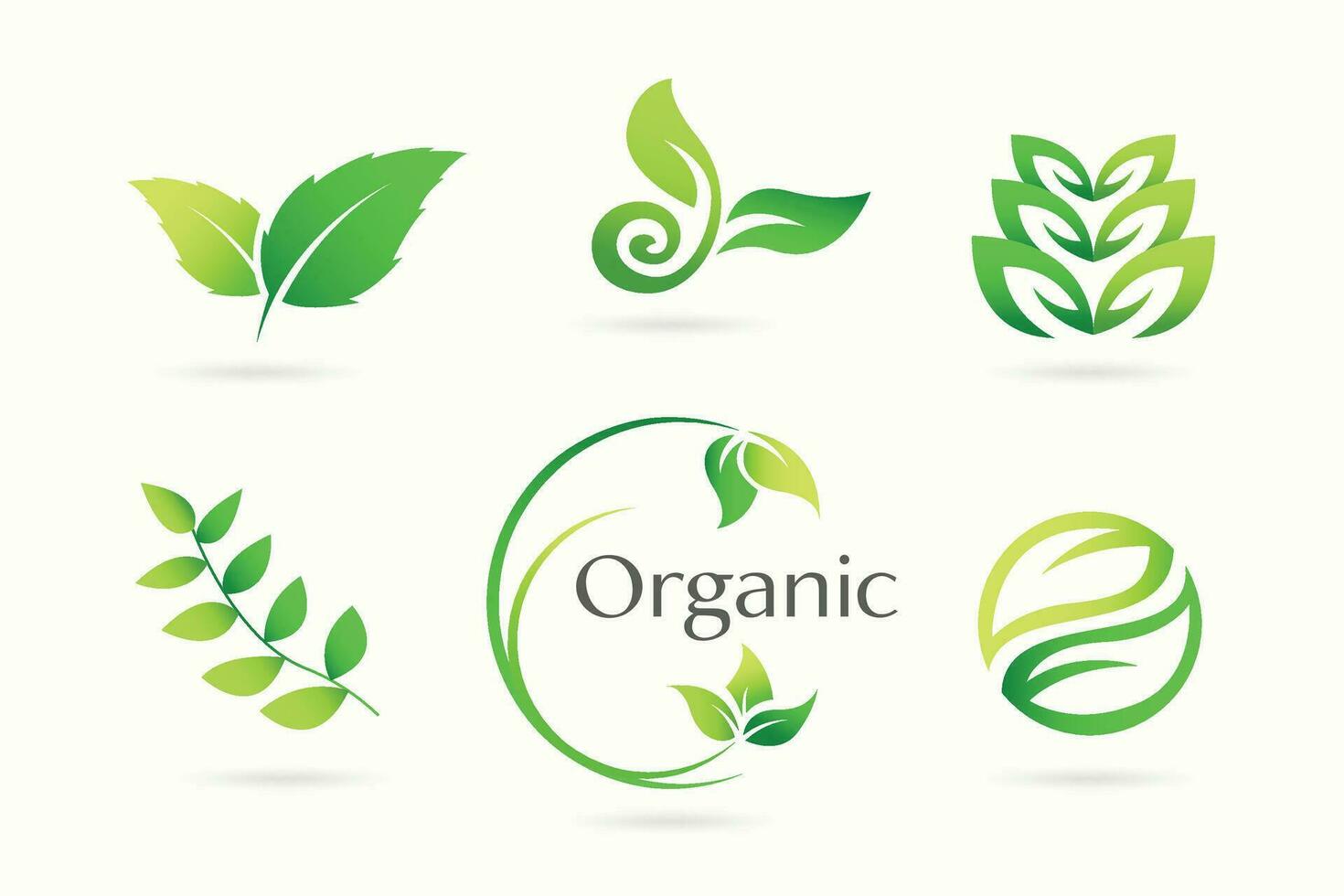 Green Leaf Garden, Botanical and Organic Logo Set. vector