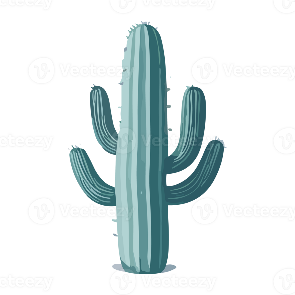 Cute Cactus isolated illustration in cartoon style. png