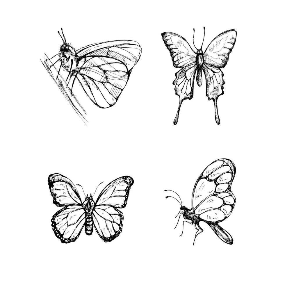 mano dibujado mariposa bosquejo colocar. monocromo insectos garabatear. negro y blanco Clásico elementos. vector bosquejo. detallado retro estilo.