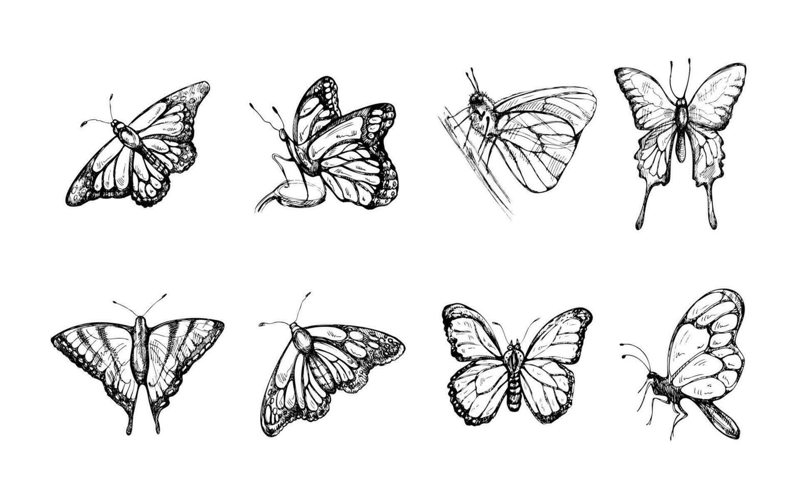 Hand drawn butterfly sketch set. Monochrome insects doodle. Black and white vintage elements. Vector sketch. Detailed retro style.