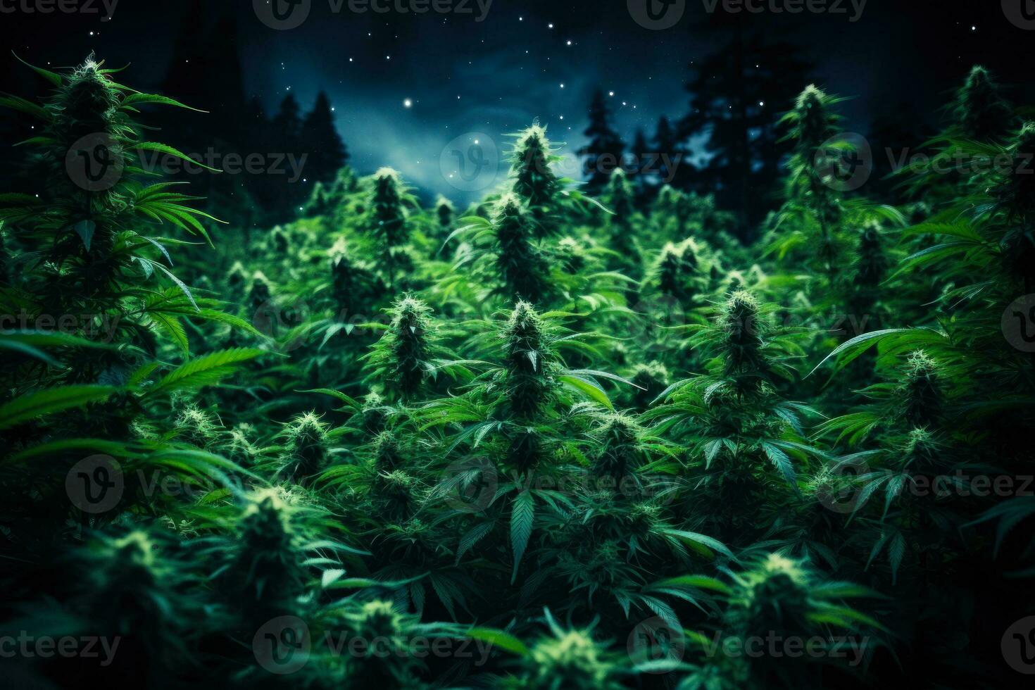 green cannabis plants on starry sky background generative ai photo