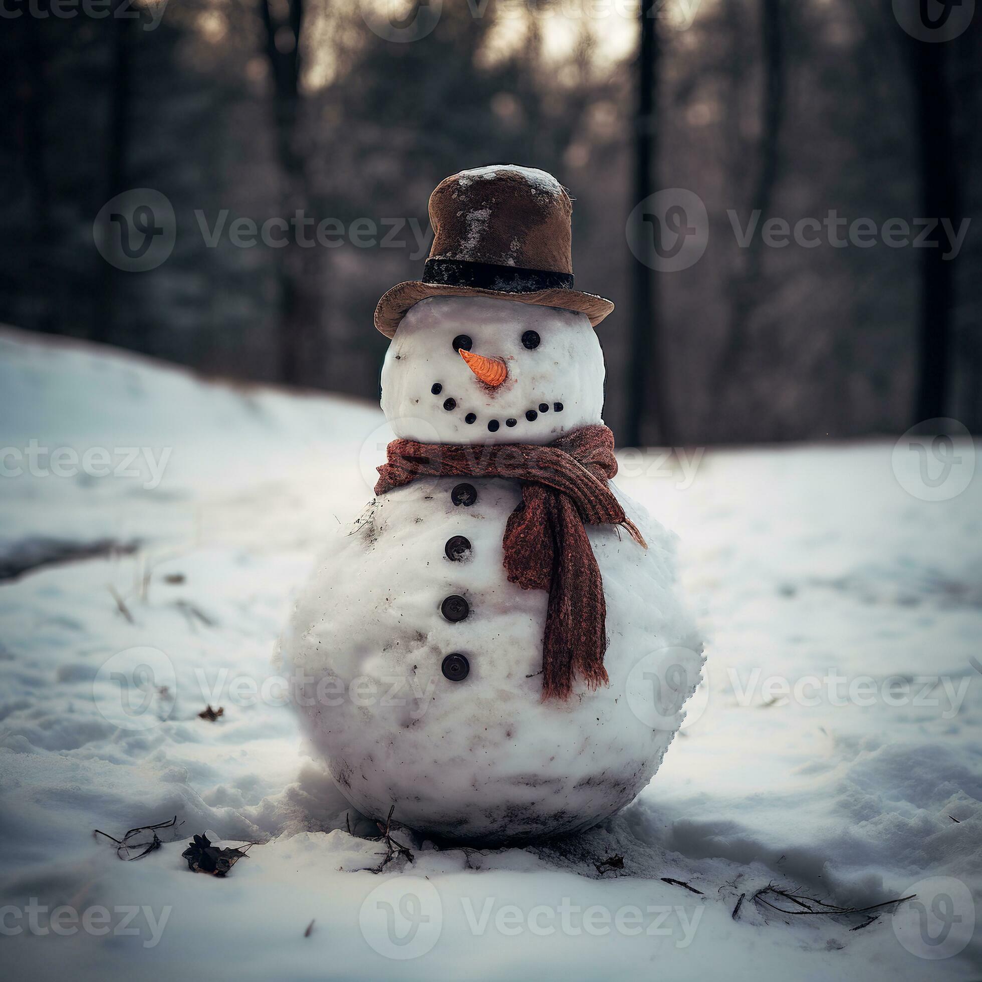 Snowman close up. Realistic snowman in winter forest. 27717621 Stock