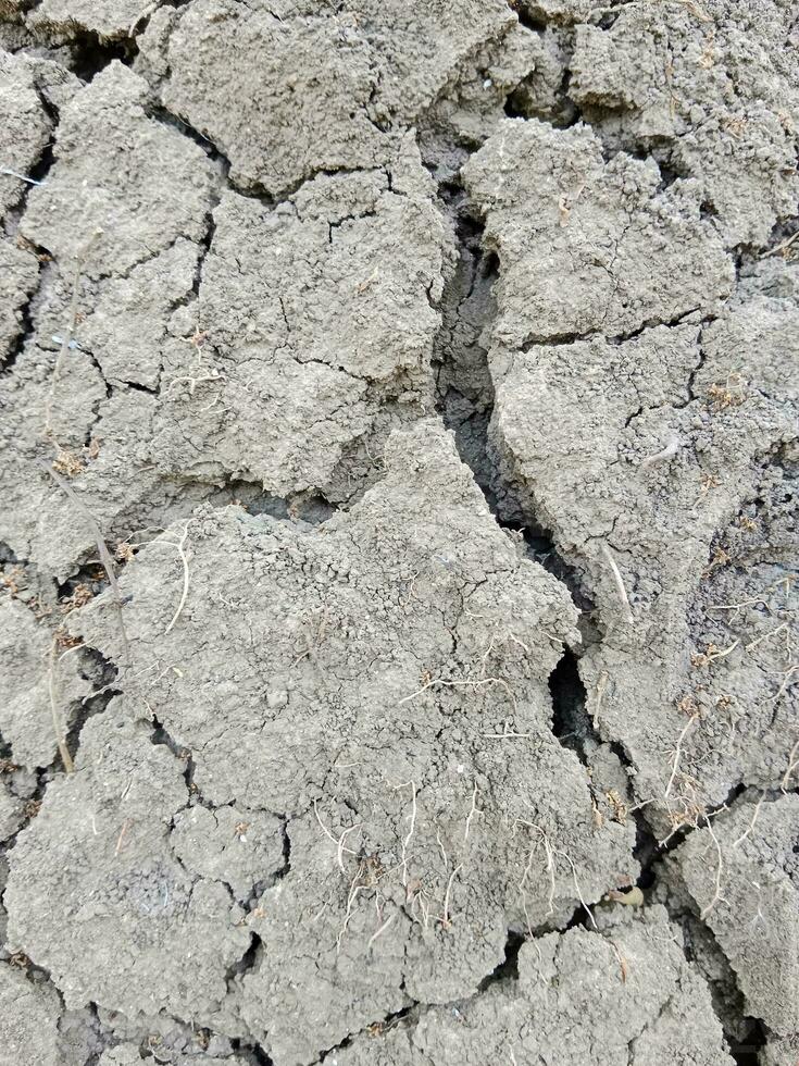 texture of cracked dried soil. dry ground with crack. photo