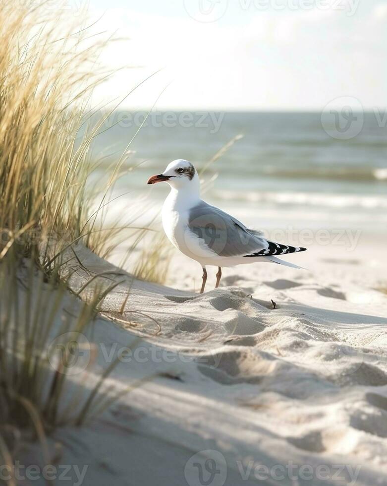 Seascape bird seagull stands on the shore by the sea,AI Generative. photo