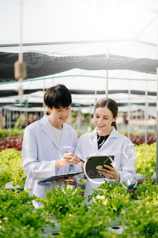 Biologist puts sprout in test tube for laboratory analyze. Two scientists stand in organic farm. check, laboratory in greenhouse. photo