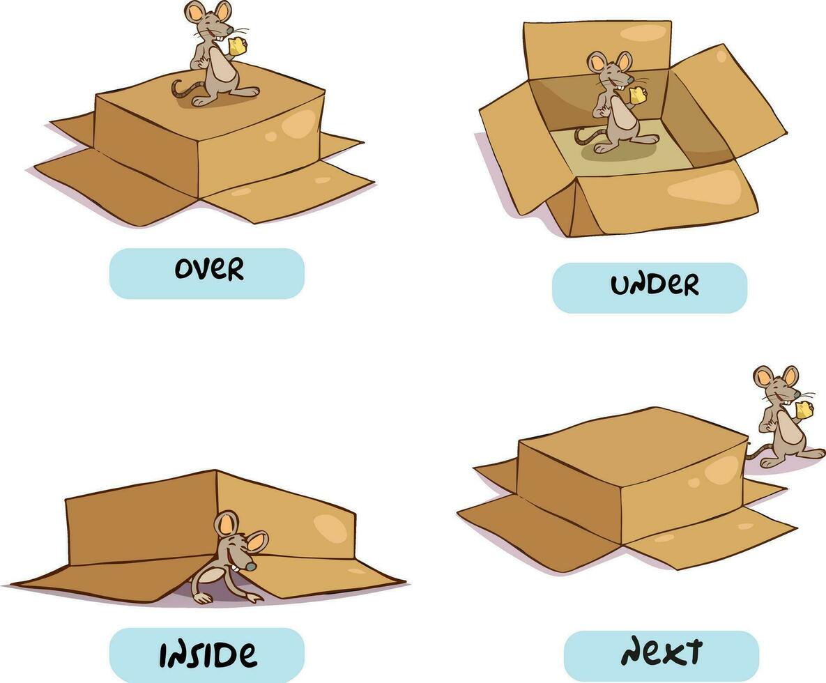 vector illustration of mouse and box.Preposition of place and movement.