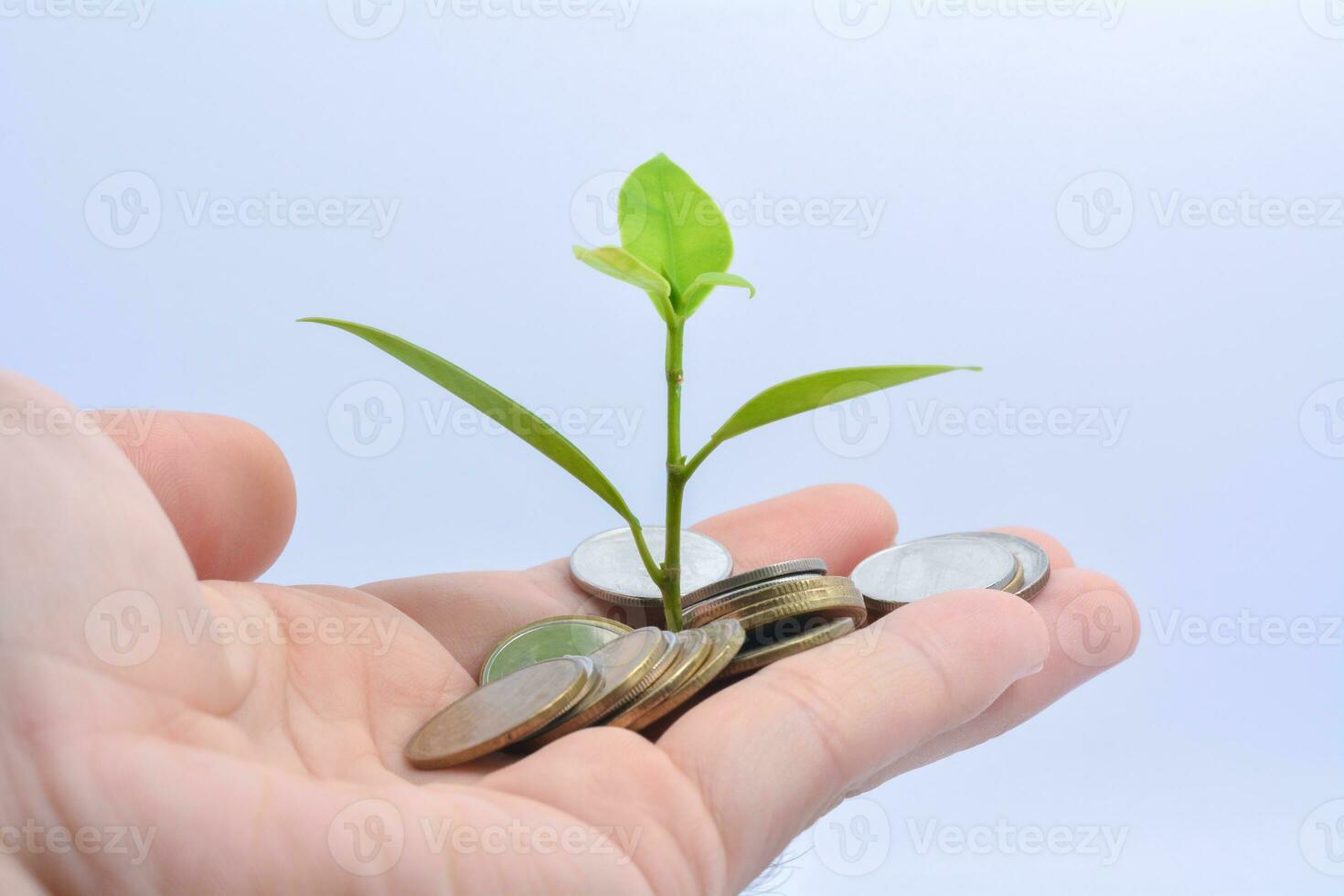 árbol creciente en oro y plata monedas , invertir con pequeño cantidades de dinero moneda ahorros foto