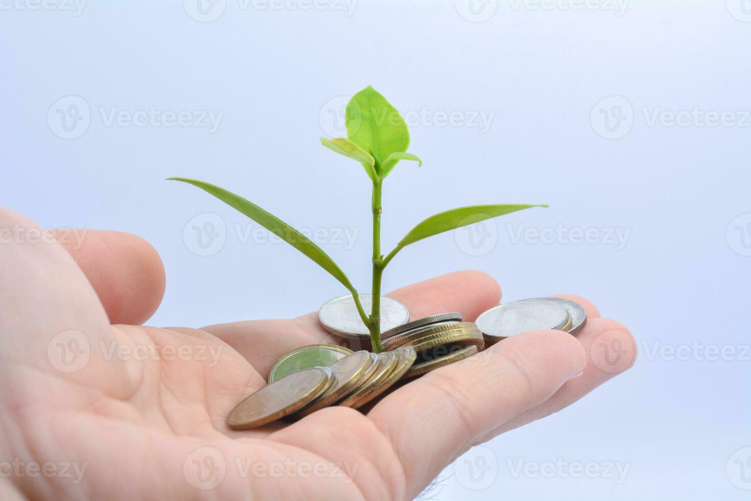 Tree growing on gold and silver coins , investing with small amounts of money coin savings photo