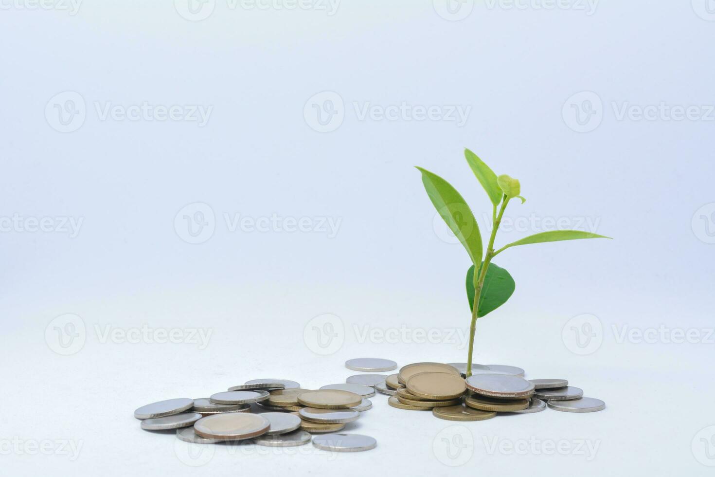 árbol creciente en oro y plata monedas , invertir con pequeño cantidades de dinero moneda ahorros foto