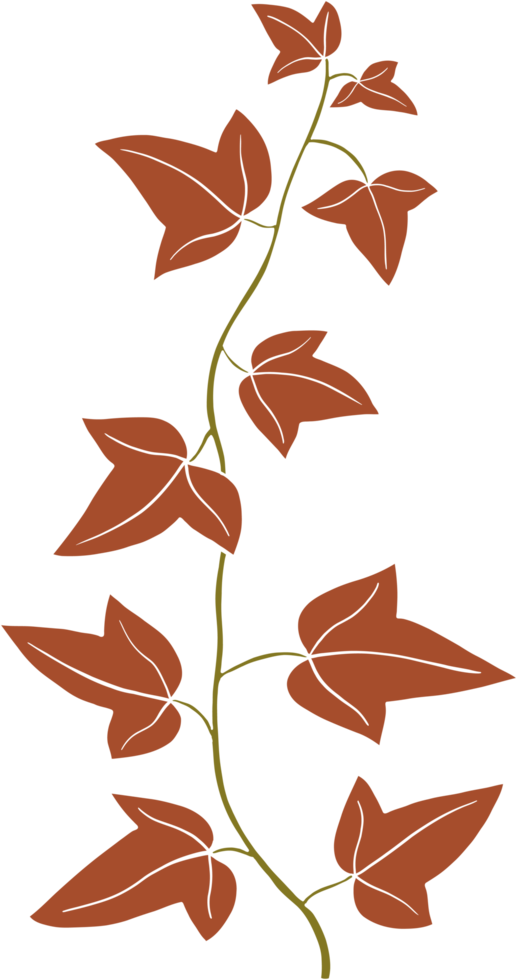 Simplicity ivy freehand drawing. png