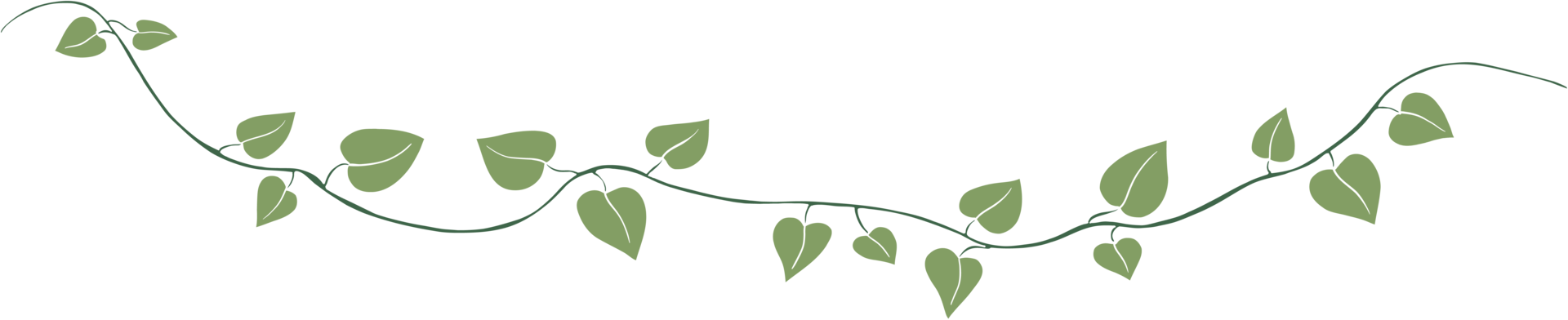 Simplicity ivy freehand drawing. png