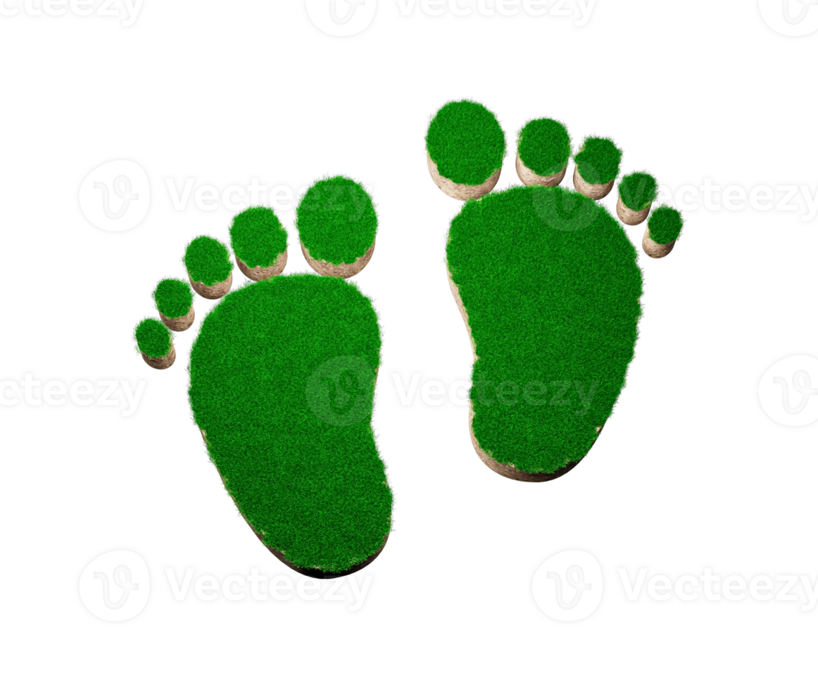 Footprint shape made of green grass and Rock ground texture cross section with 3d illustration png