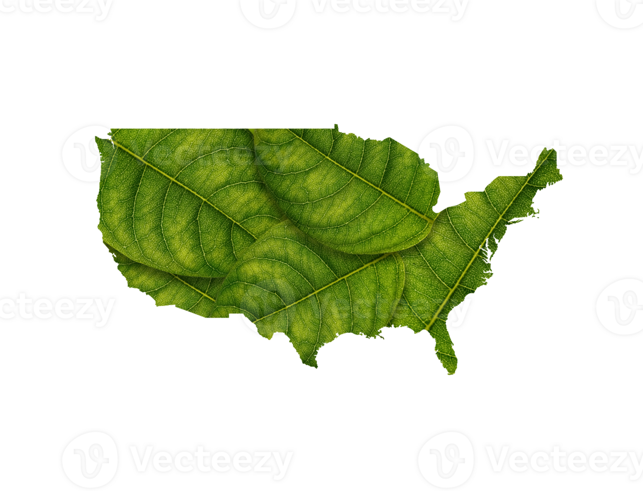 Estados Unidos mapa hecho de verde hojas ecología concepto png
