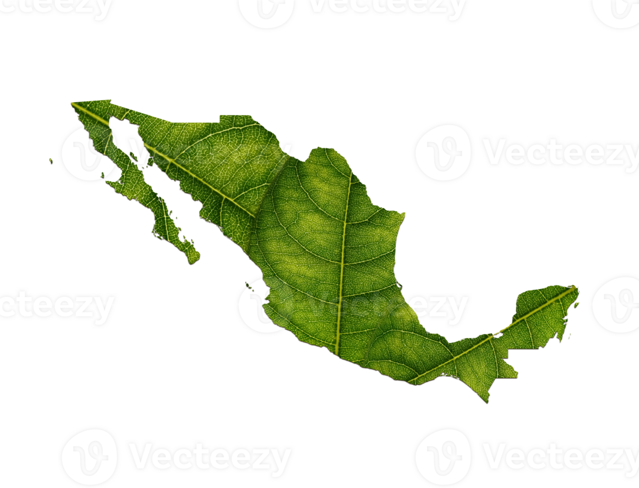 mexico mapa hecho de verde hojas ecología concepto png