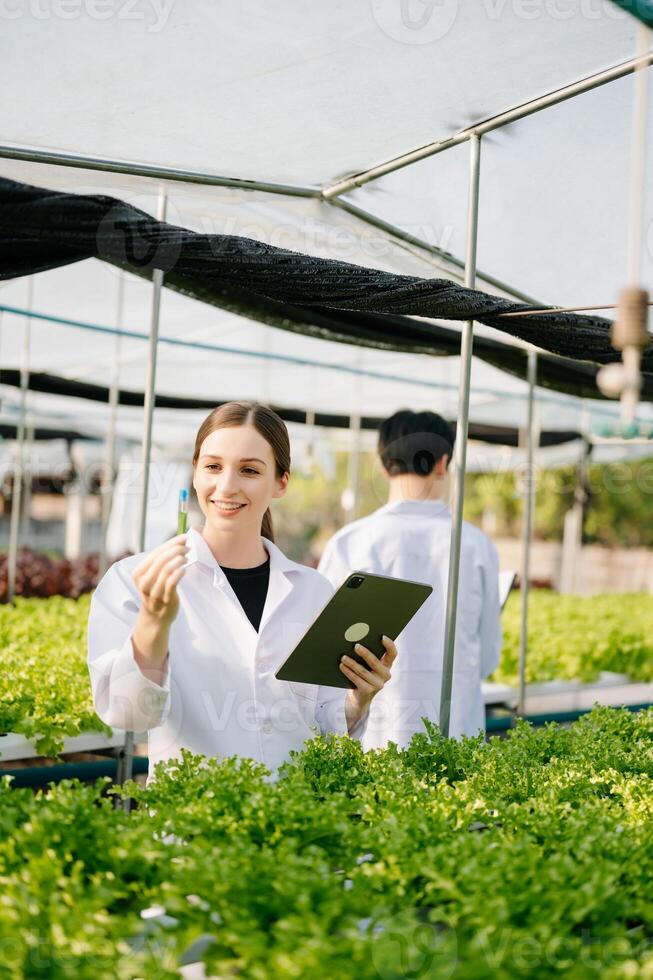 Biologist puts sprout in test tube for laboratory analyze. Two scientists stand in organic farm. check, laboratory in greenhouse. photo