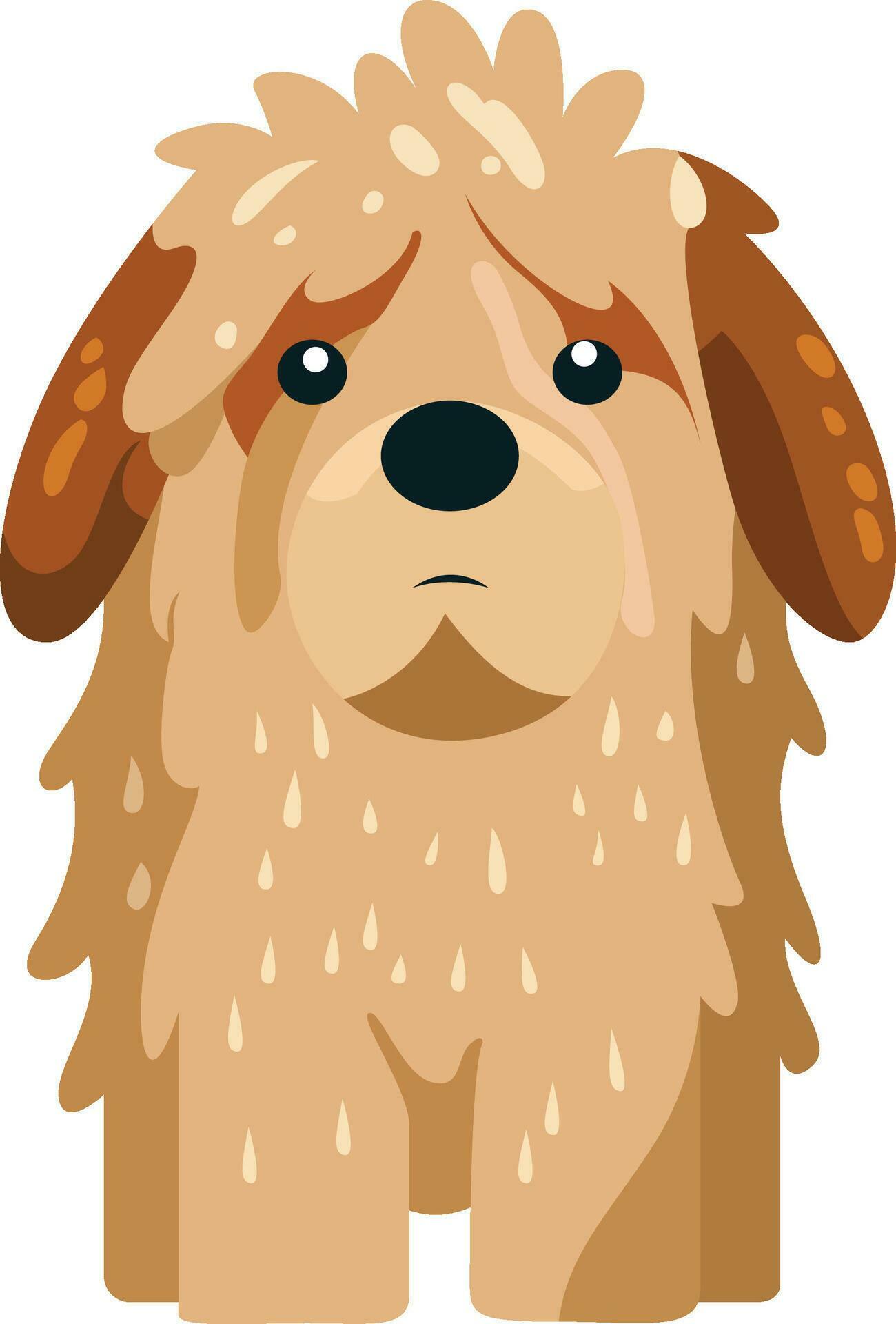 Wet dog, flat style stock vector illustration, Wet Shih Tzu dog stock