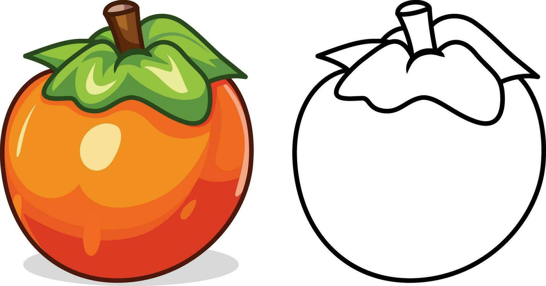 Persimmon fruit vector illustration, American persimmons, sugar plums, possum apples, or the common persimmon, date plum stock vector image