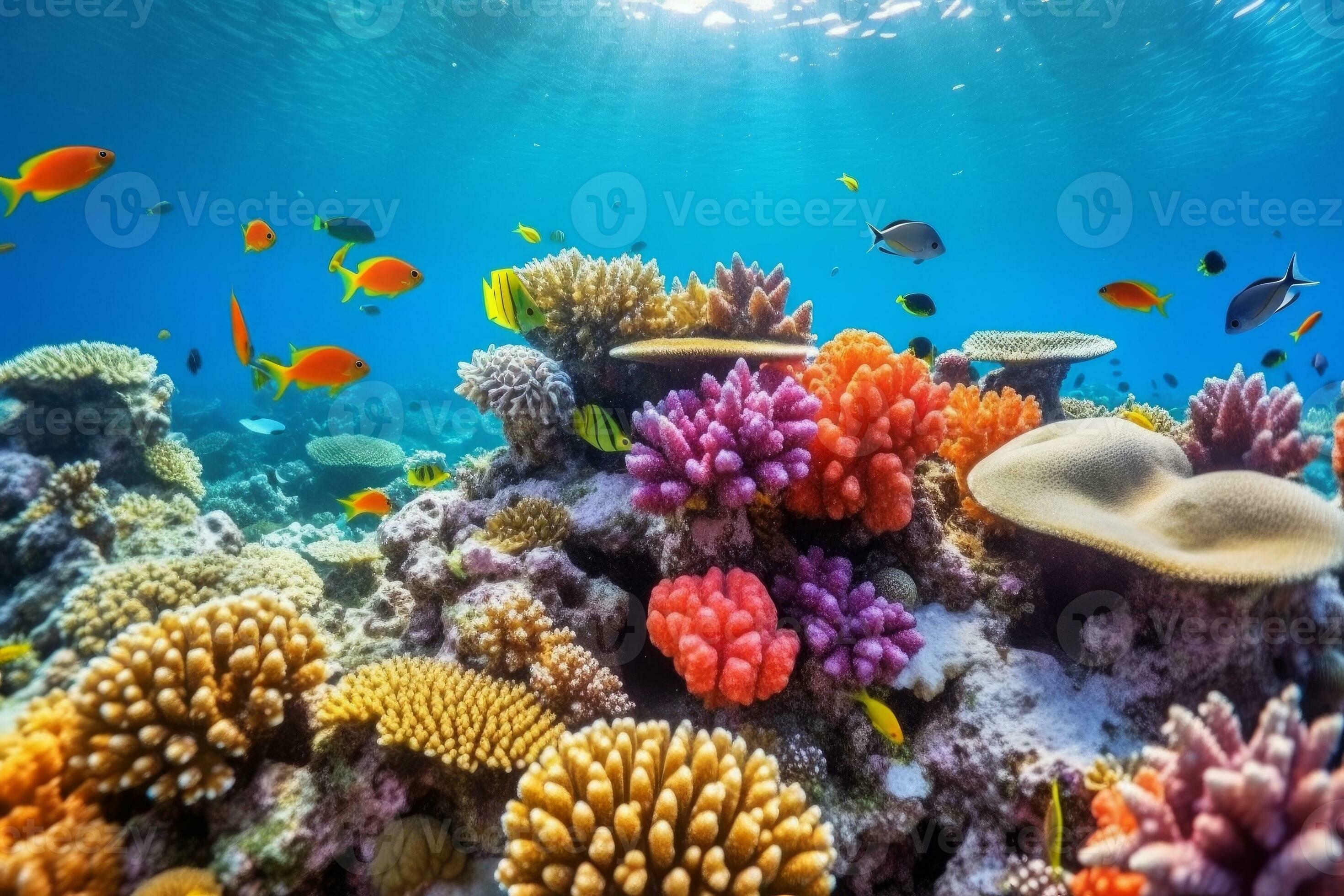 Vibrant and diverse coral reef ecosystem teaming with fish 27722918