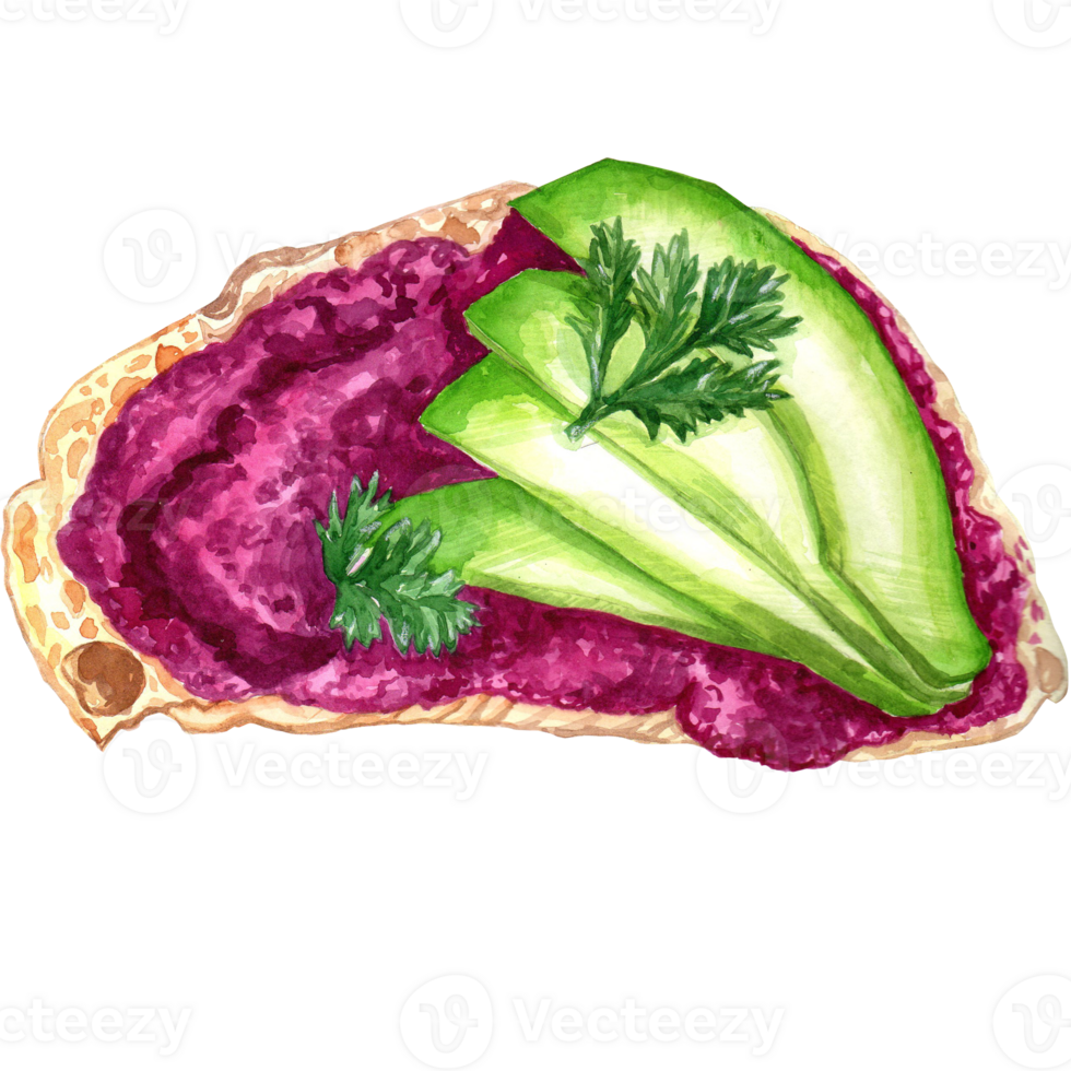 Watercolor sandwiches hand painted snacks. Flat lay food illustration. Traditional tapas. Bruschetta watercolor hand drawn set isolated on white background. Sandwiches with avocado tomato and berries. png