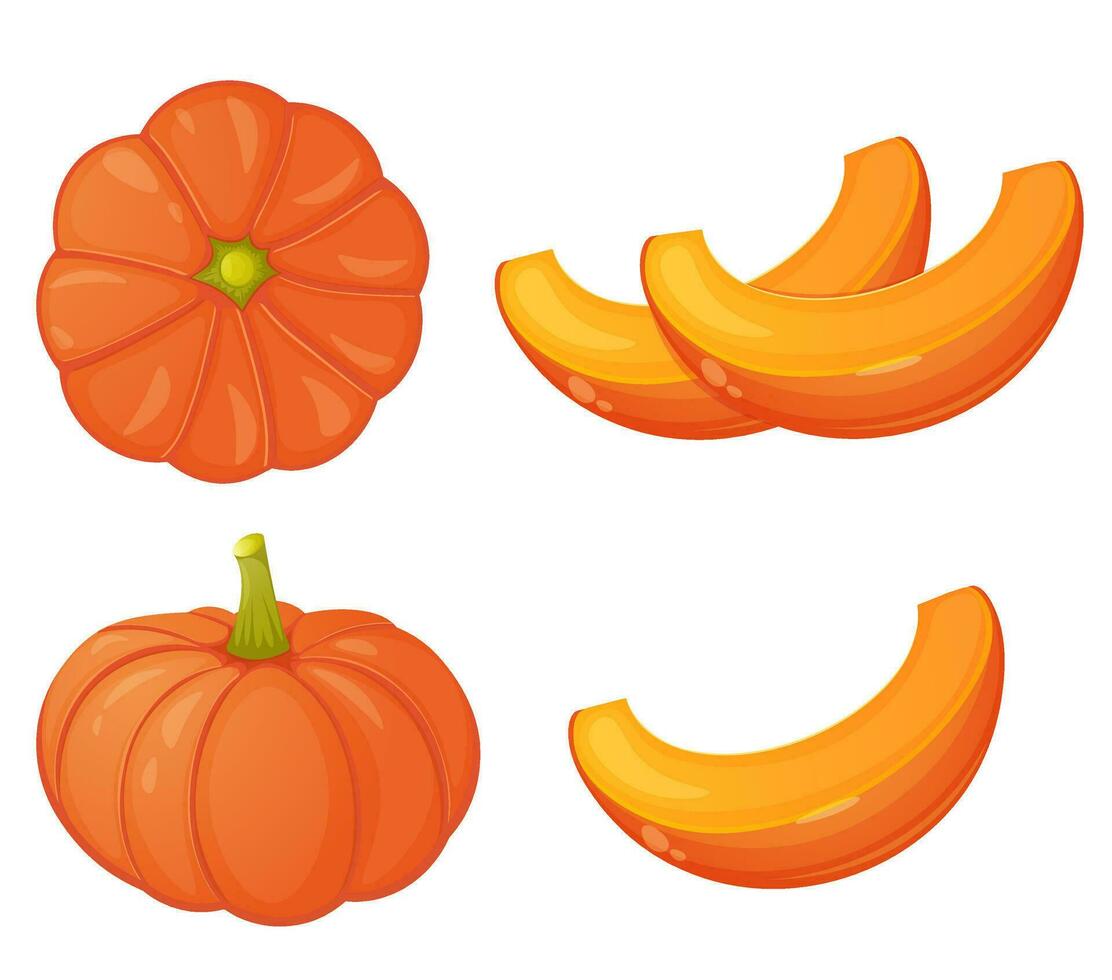 calabaza frente vista, desde encima y rebanadas vector