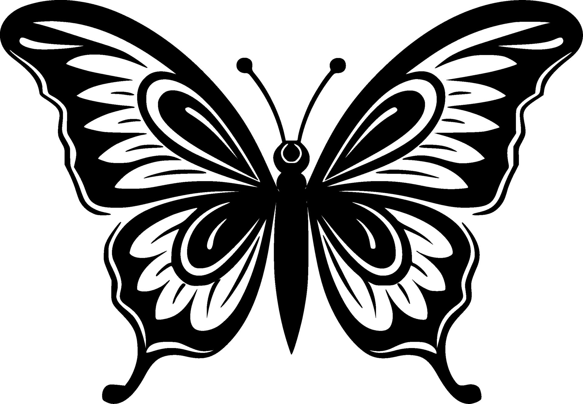 Butterfly - Black and White Isolated Icon - Vector illustration