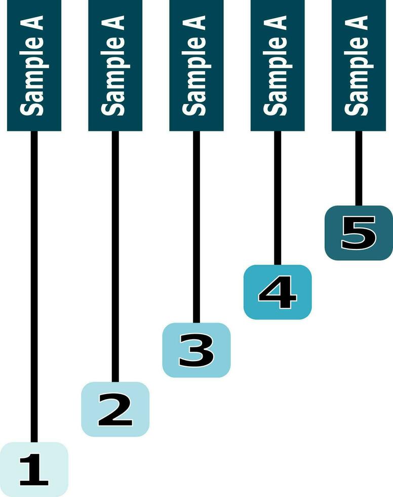 five steps or options infographic. vector illustration.