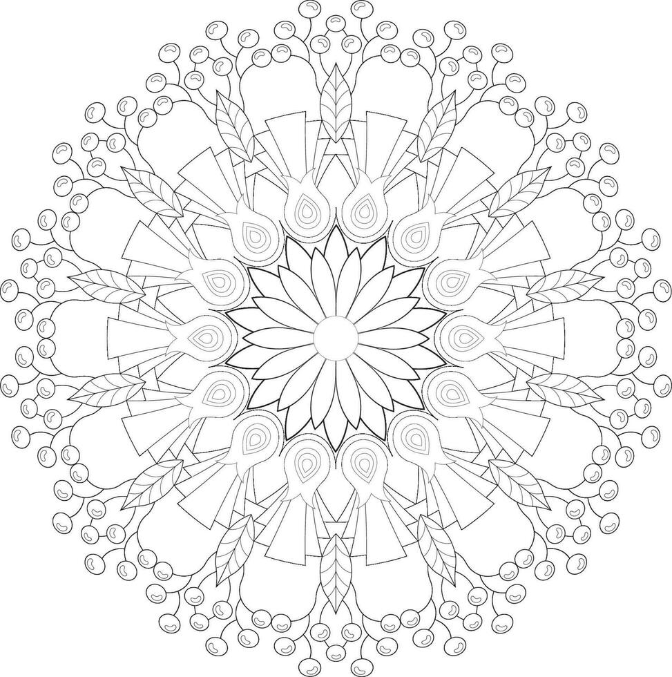 Unique complex adult mandala coloring book page design vector