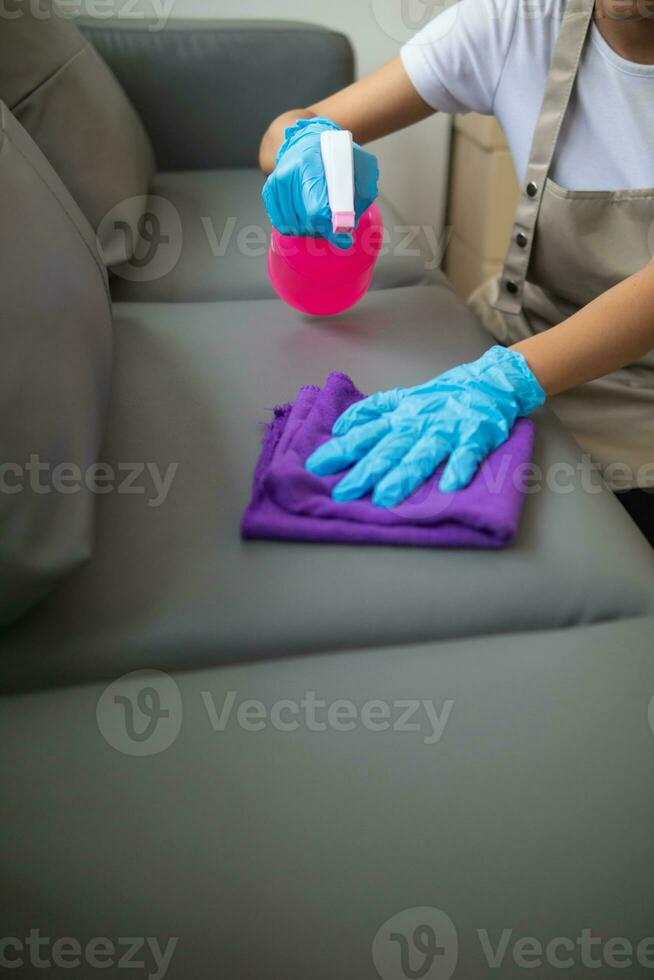 Cleaning staff is wiping cloth with cleaner and disinfectant on the surface of sofa to make the sofa clean with cleaning products and free from germs clinging to surface of the sofa in living room. photo