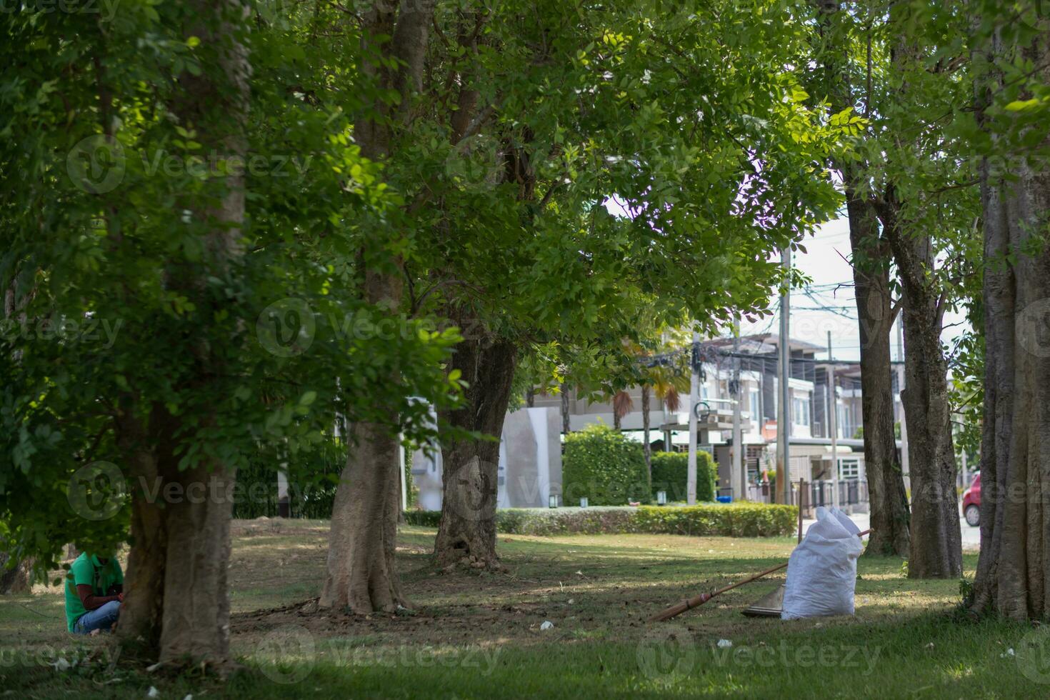 White sacks are used to contain dead leaves that have fallen seasonally in spring as way to clean park and mix  leaves to make compost. coconut broom sits next to powder scoop and sack for dry leaves. photo
