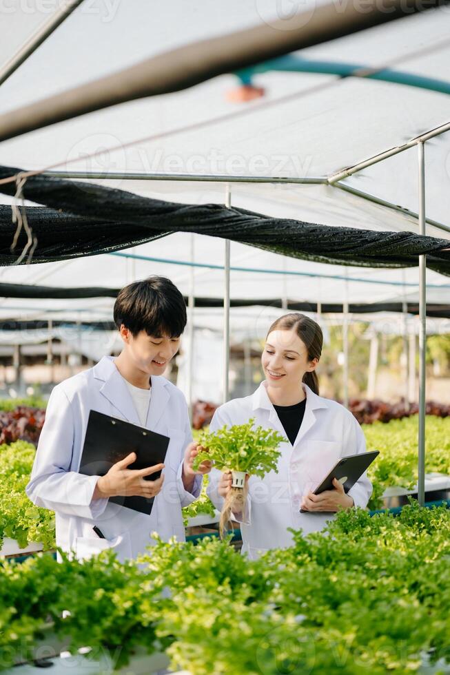Biologist puts sprout in test tube for laboratory analyze. Two scientists stand in organic farm. check, laboratory in greenhouse. photo