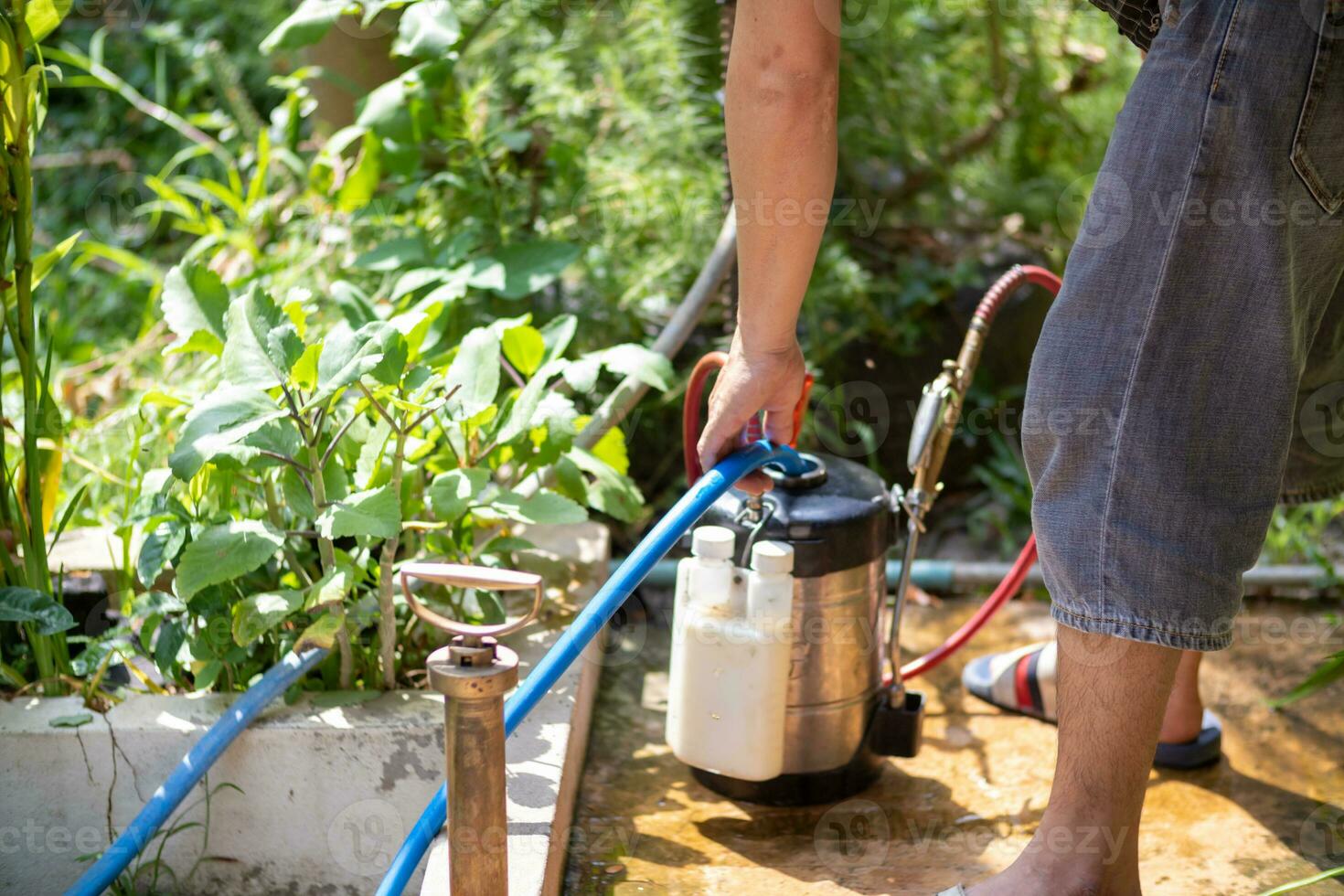 young man chooses to use termite control chemicals that are not toxic to humans mixed with water in tank for spraying to eliminate termites. enabling young man to spray termite repellant by himself photo